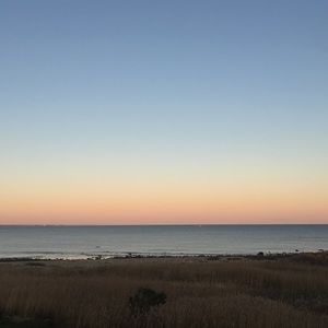 Meet your Posher, Ally